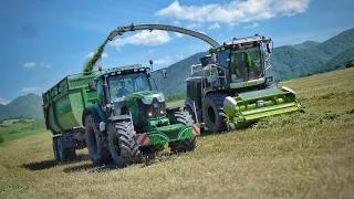 Haying in the hill 2023 Harvesting of alfalfa with "BLACK" Claas Jaguar 970 and 4x tractors