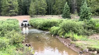 Tellurium Creek (Most dopest trail at Taylor Park!!!!)