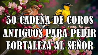 50 CADENA DE COROS ANTIGUOS PARA PEDIR FORTALEZA AL SEÑOR - COROS PENTECOSTALES - HEMOSAS ALABANZAS