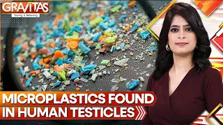 Gravitas | Researchers find microplastics in dog and human testicular tissue | WION