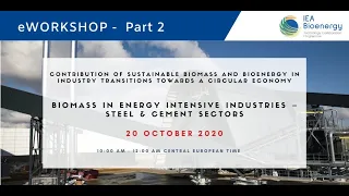 Biomass in energy intensive industries – steel & cement sectors - Part 2