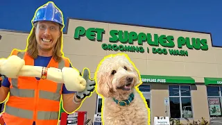 Handyman Hal works at Pet Store | Learn about Animals with the Awesome Song