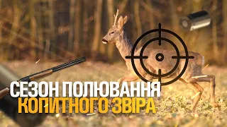 НЕЙМОВІРНЕ ТОП ВІДКРИТТЯ ПОЛЮВАННЯ НА КОПИТНОГО ЗВІРА |МИСЛИВСЬКЕ ГОСПОДАРСТВО "НАДСЛУЧАНСЬКА"