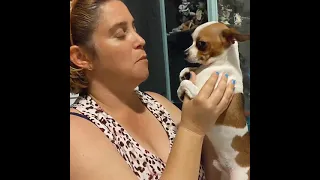 puppy gets eaten alive