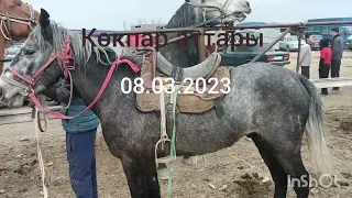 Абай мал базары, көкпар айғырлар #аттар#лошади#құнан#