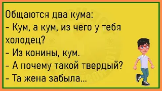 💎Сидят Два Мужика Ночью...Большой Сборник Весёлых Анекдотов,Для Супер Настроения!