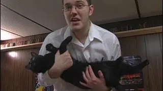 AVGN Outtake Collection