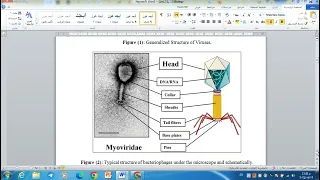 Biology Lect. 12,13 - "What are a virus, viroid, and virion?"