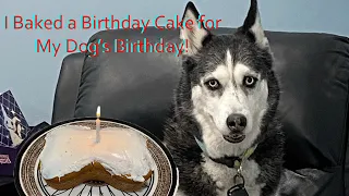 Baking My Dog A Birthday Cake!