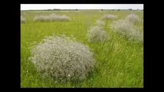 Дуэт Славяне. Жизнь прожить - не поле перейти.