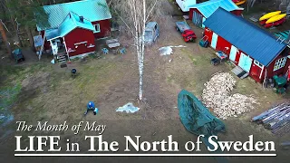 LIFE IN MAY in THE NORTH OF SWEDEN | LIFE in LAPLAND vlog