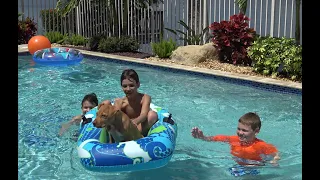 A Boy & his Puppy have a Boat Ride in the Pool!