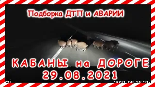 ДТП Подборка на видеорегистратор за 29 08 2021 Август 2021