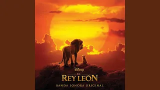 Voy a ser el Rey León