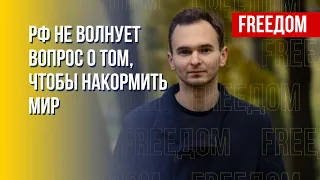 РФ намекает, что зерновая сделка под угрозой, обстреливая украинские порты, – аналитик