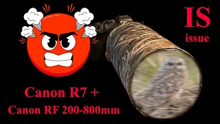 Canon R7 & Canon RF 200-800mm. Be aware of this IS (image stabiliser/stabilizer) problem.