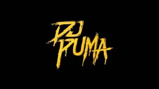 Westbam   Beatbox rocker Wardian remix DJ Puma