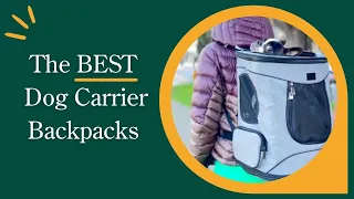 7 Best Dog Carrier Backpacks of 2022