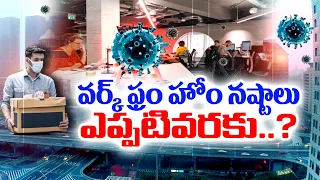 Why Techies Still Working From Home | After Coronavirus Pandemic Ended || Idi Sangathi