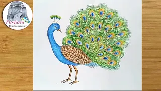 How to draw a Peacock step by step