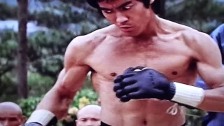 BRUCE LEE ברוס לי הדרקון 1973