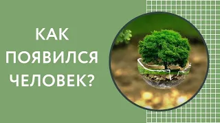 Гипотезы происхождения человека. Как появился человек?