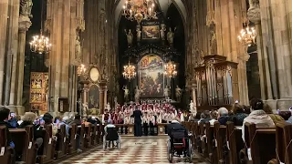 Концерт «Дударика» за участі Зоряни Кушплер у головному соборі Відня 06.10.2022 р.