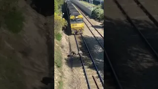 Man saves dog from moving train 😮 #shorts #reaction