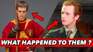 What Happened To These Harry Potter Characters ? (George Weasley, Oliver Wood, Percy Weasley, ...)