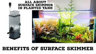 Benefit Of Surface Skimmer | Oil On Aquarium Surface | Removing Surface Oil Film In Planted Tank