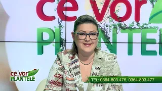 Ce vor plantele Cristina Ghibu 29.03.2023 P1