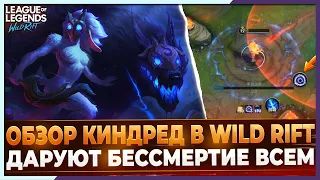 Wild Rift Новости: 🔥Обзор Киндред в Вайлд Рифт | Как ими играть и, что от них ждать?