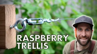 The BEST Raspberry Trellis - Can I recreate it?!