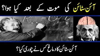 Who Stole Einstein's Brain - Einstein Ka Dimagh Kis Ne Chori kia URDU HINDI | SACH TV