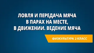 Ловля и передача мяча в парах на месте, в движении. Ведение мяча