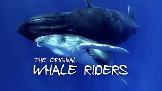 The Original Whale Riders | Official Trailer