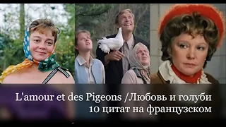 Любовь и голуби. 10 цитат из любимого фильма на французском языке