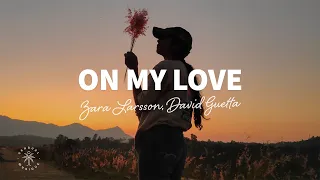 Zara Larsson, David Guetta - On My Love (Lyrics)