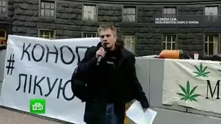 В Киеве на «конопляном» марше раздавали пакетики с каннабисом