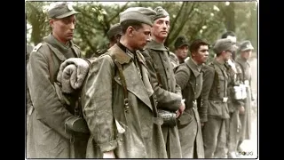 Hitler's Army in Allied Service 1945-46