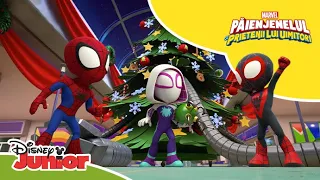 🌨️ Aventuri de iarnă nefavorabile | Păienjenelul Marvel și prietenii lui uimitori | Disney Junior RO