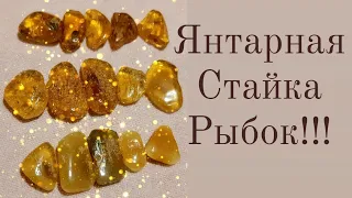 Рыбки из янтаря1ч #распакоковки#украшенияизянтаря#украшениясвоимируками#калининград