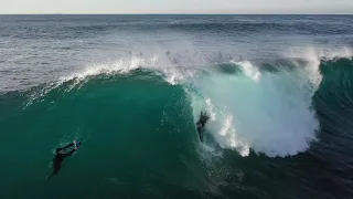 Cape solander - Ours - July 2020