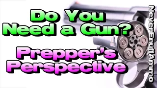 Do You Need a Gun? (Prepper's Perspective)