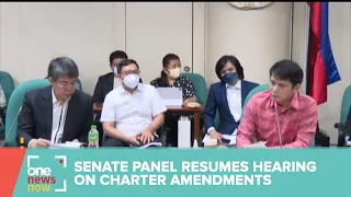 Senate panel resumes hearings on constitutional amendments