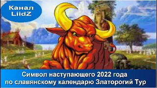 Символ наступающего 2022 года по славянскому календарю Златорогий Тур