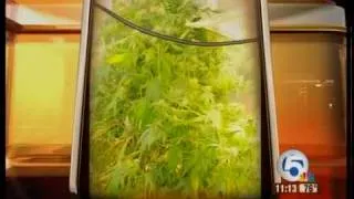 Man arrested for active grow house