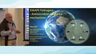Патогени групи ESKAPE. Антимікробна резистентність, її механізми