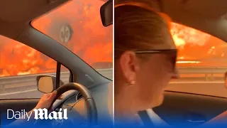 Dramatic moment driver narrowly escapes raging wildfires in Sicily with flames metres away