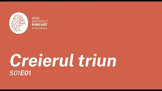 S01 Ep 01 - Introducere în Arhitectură Cerebrală